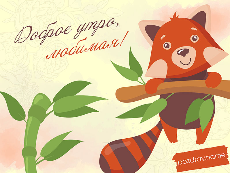 Открытка с добрым утром любимой