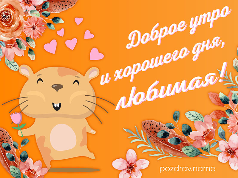 Открытка с добрым утром и хорошего дня любимой