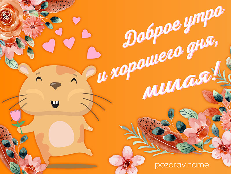 Открытка с добрым утром и хорошего дня милой
