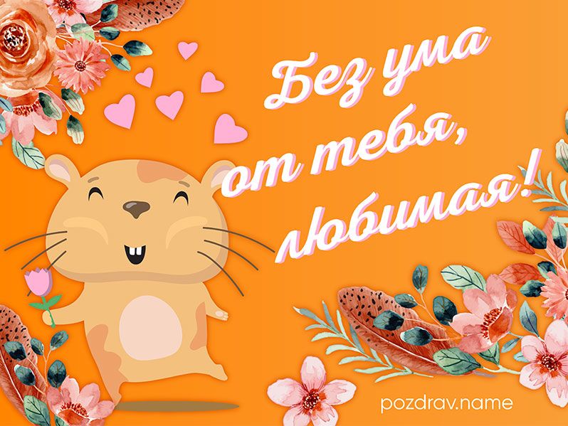 Открытка с признанием в любви девушке